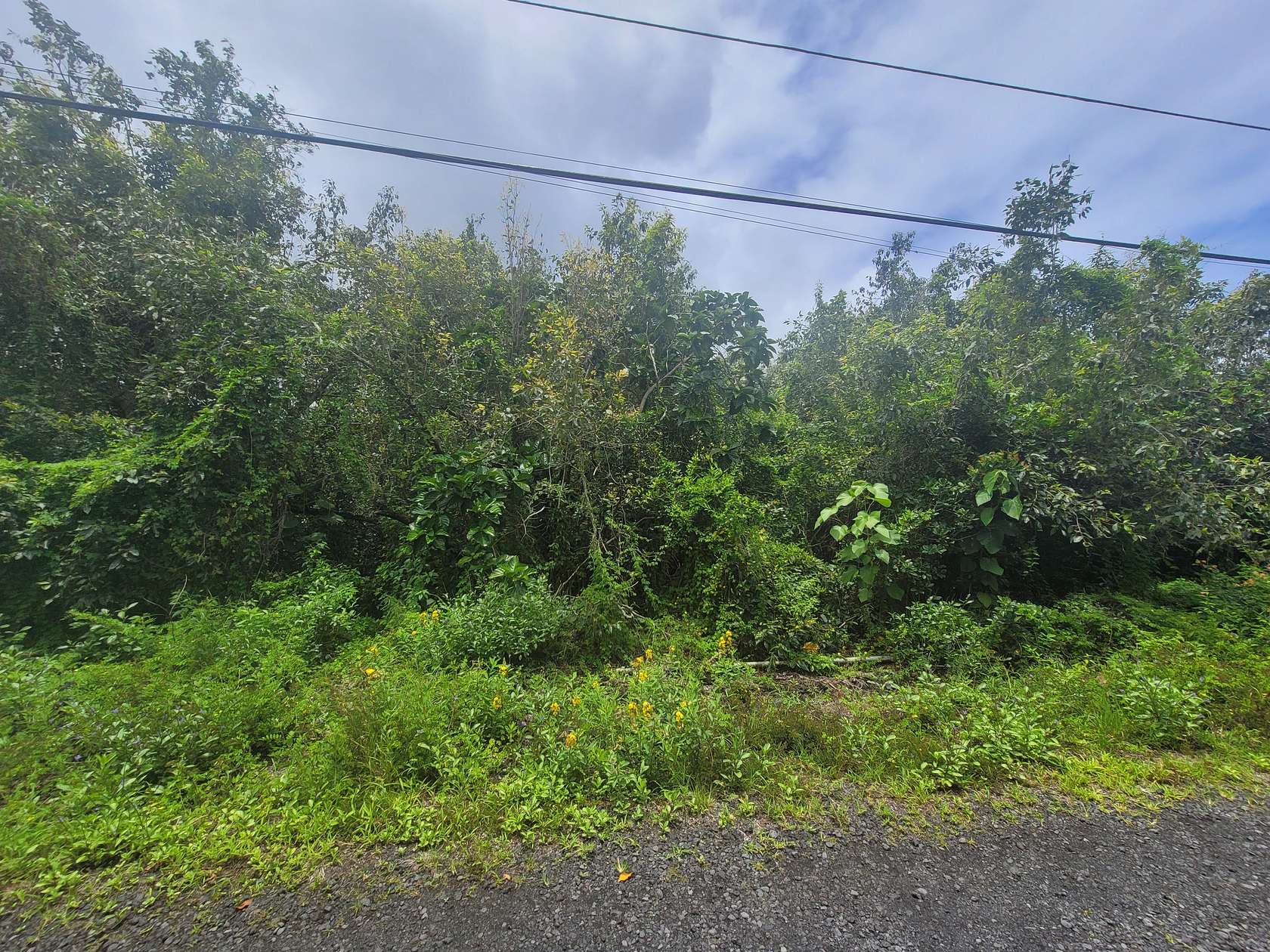 0.172 Acres of Residential Land for Sale in Pahoa, Hawaii