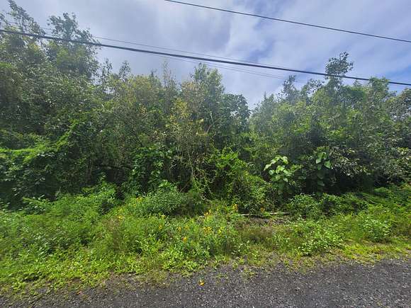 0.17 Acres of Residential Land for Sale in Pahoa, Hawaii