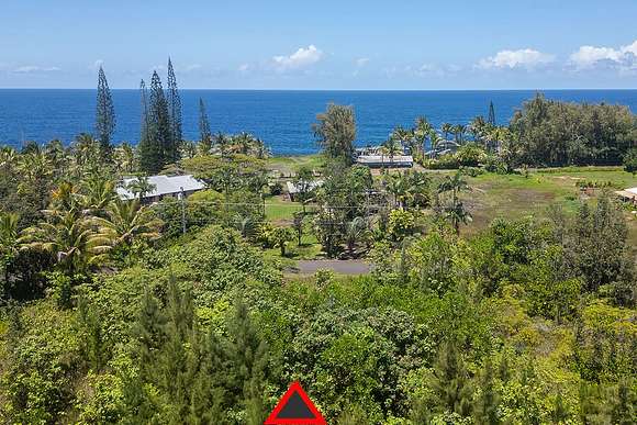 1 Acre of Residential Land for Sale in Keaau, Hawaii