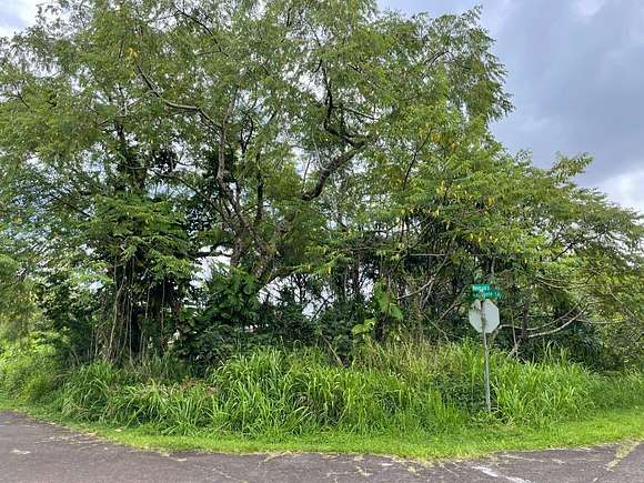 0.17 Acres of Residential Land for Sale in Pahoa, Hawaii