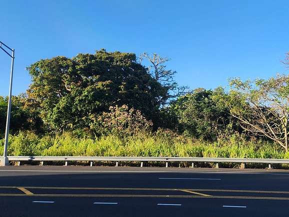 0.83 Acres of Commercial Land for Sale in Captain Cook, Hawaii