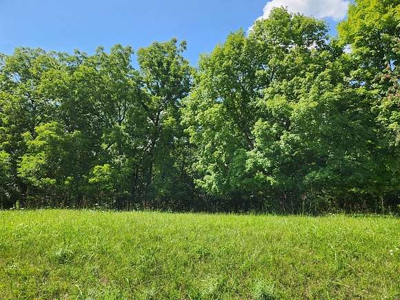 Land for Sale in Varna, Illinois