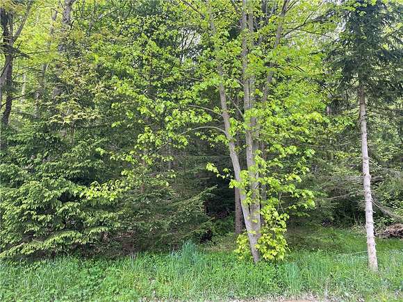 0.92 Acres of Residential Land for Sale in Canisteo, New York