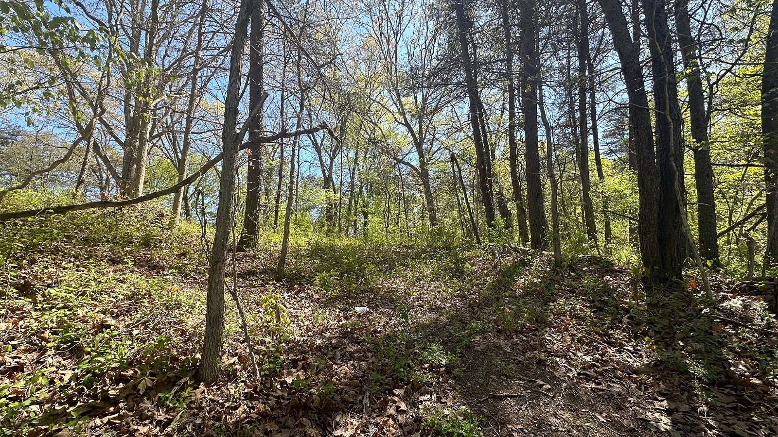 0.25 Acres of Residential Land for Sale in Jackson, Ohio