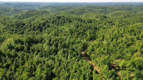 521 Acres of Recreational Land for Sale in Grantsville, West Virginia