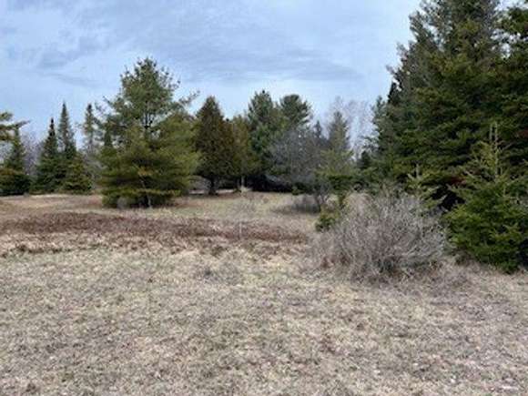 40 Acres of Land for Sale in Sturgeon Bay, Wisconsin