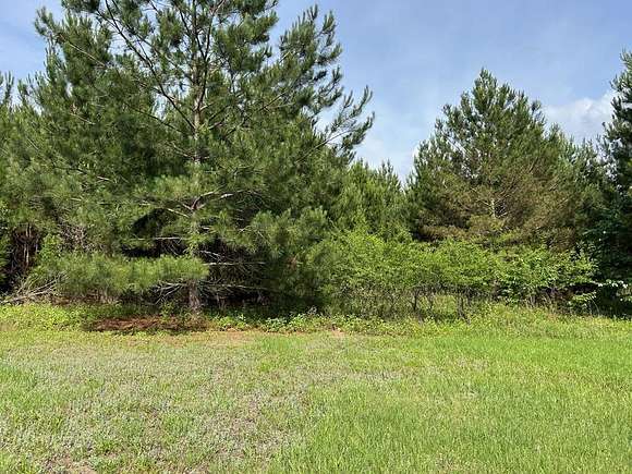 5 Acres of Land for Sale in Hawkinsville, Georgia