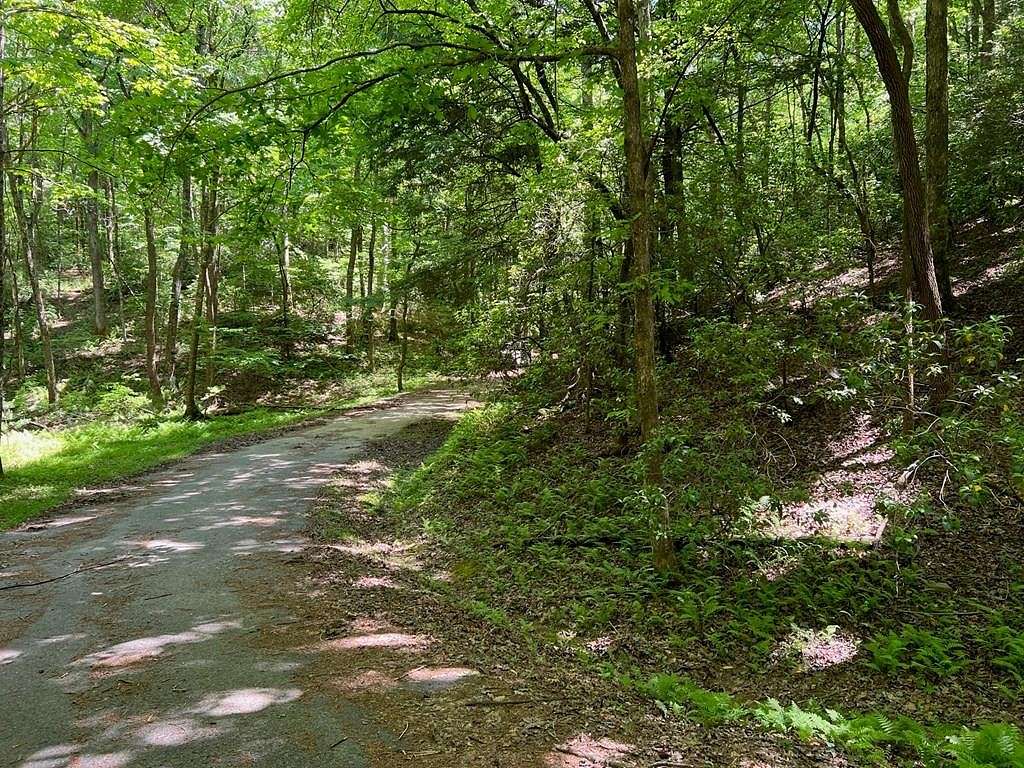 0.77 Acres of Residential Land for Sale in Ellijay, Georgia