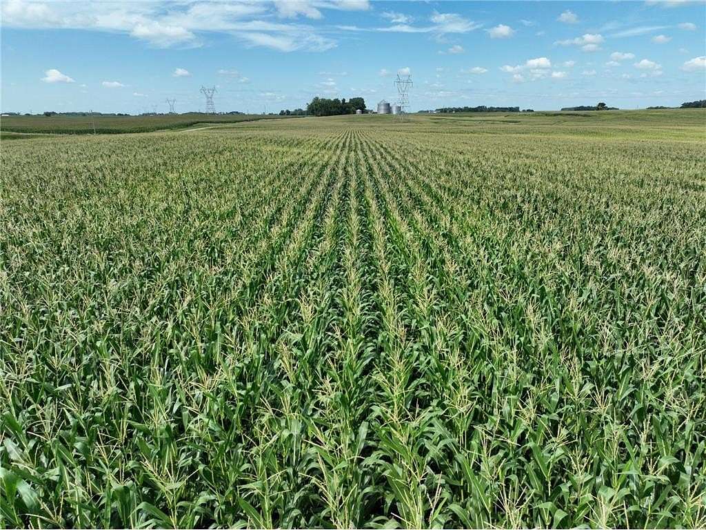 75.27 Acres of Agricultural Land for Sale in Sparta Township, Minnesota