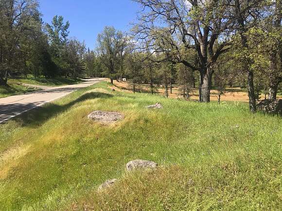 0.34 Acres of Residential Land for Sale in Pioneer, California