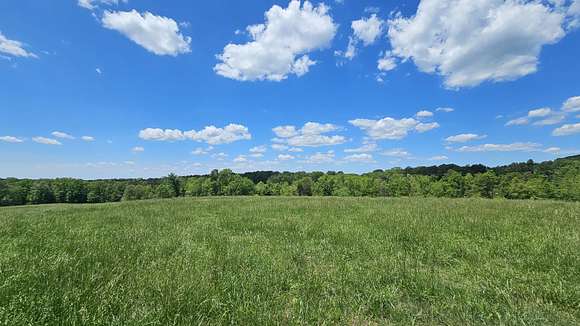 77.9 Acres of Land with Home for Sale in Summersville, Missouri