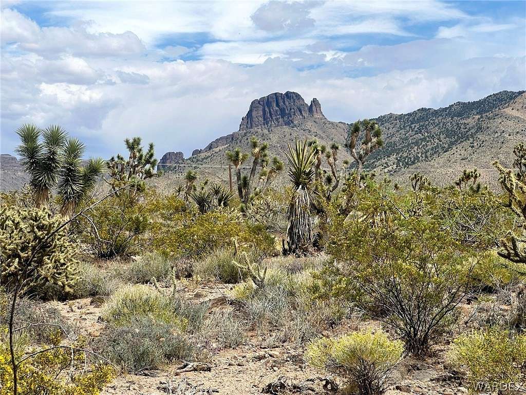 1.1 Acres of Land for Sale in Dolan Springs, Arizona