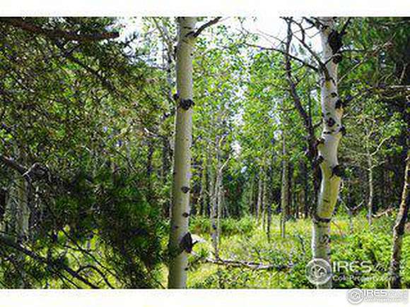 3.7 Acres of Residential Land for Sale in Allenspark, Colorado
