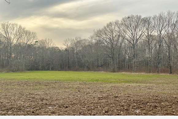 93 Acres of Recreational Land for Sale in McShan, Alabama