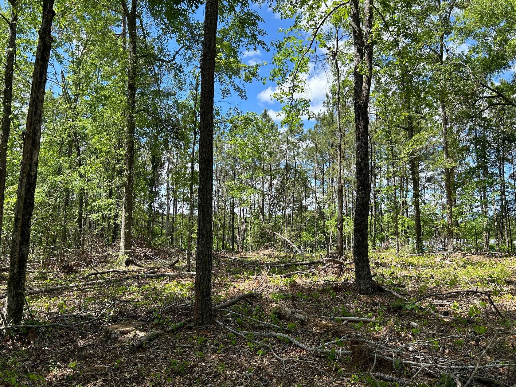 10 Acres of Land for Sale in Milledgeville, Georgia