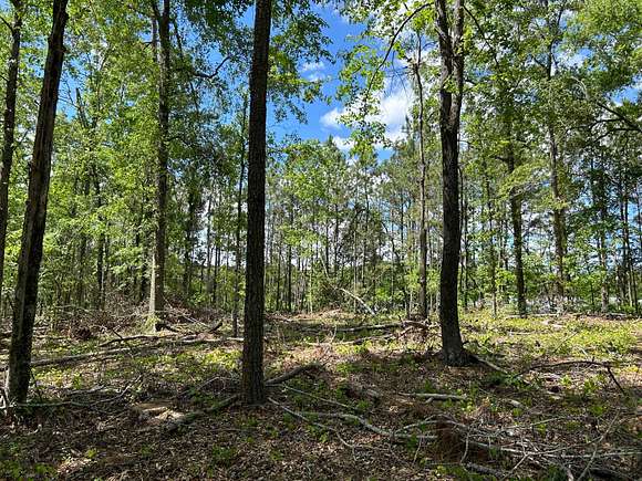 10 Acres of Land for Sale in Milledgeville, Georgia