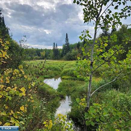80 Acres of Recreational Land for Sale in Gheen, Minnesota
