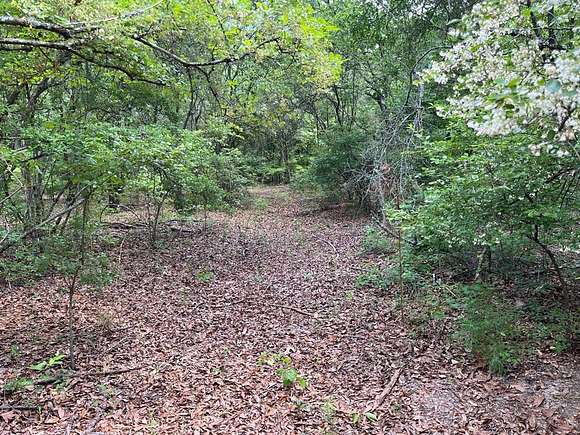7.9 Acres of Land for Sale in Climax, Georgia