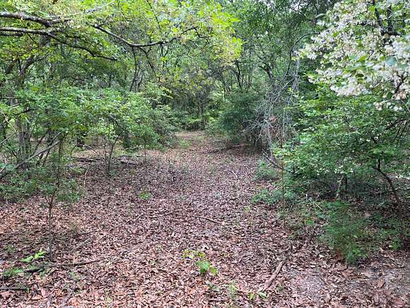 20.7 Acres of Recreational Land for Sale in Climax, Georgia
