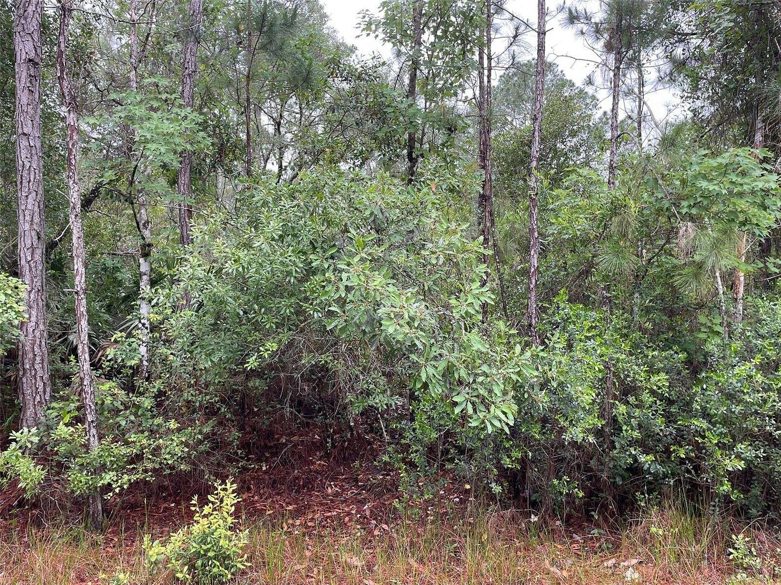 0.23 Acres of Land for Sale in Georgetown, Florida