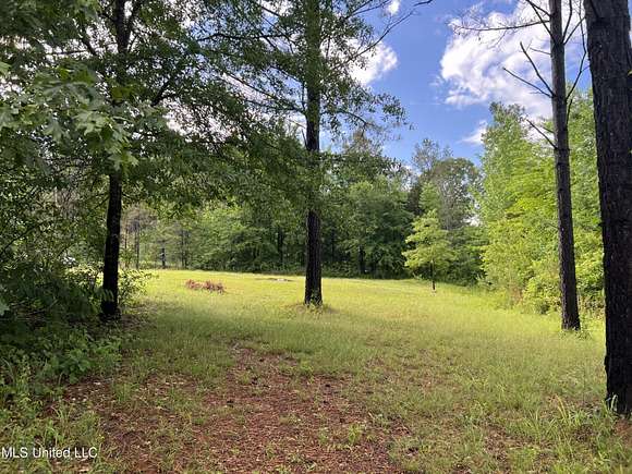 80 Acres of Recreational Land for Sale in Ashland, Mississippi