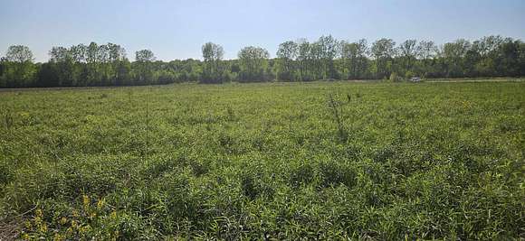 10 Acres of Land for Sale in Yale, Michigan