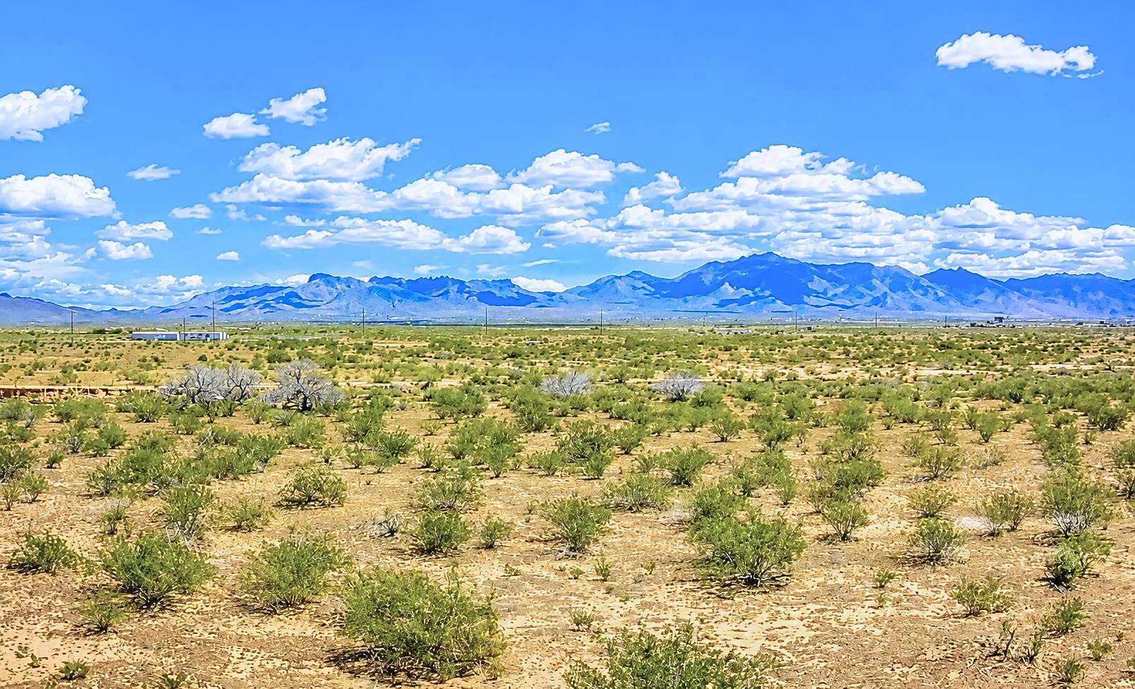 5 Acres of Residential Land for Sale in Dolan Springs, Arizona