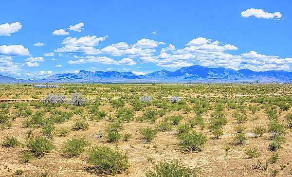 5 Acres of Residential Land for Sale in Dolan Springs, Arizona