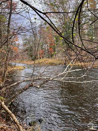 16.96 Acres of Recreational Land for Sale in Cairo, New York