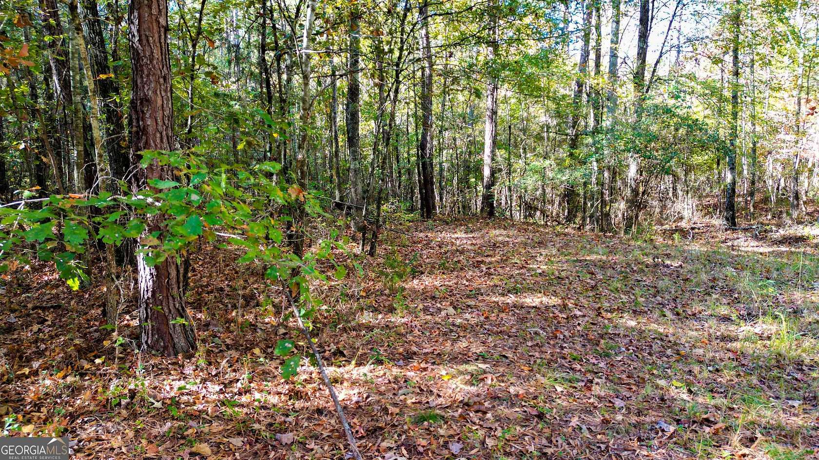 2.4 Acres of Residential Land for Sale in Senoia, Georgia