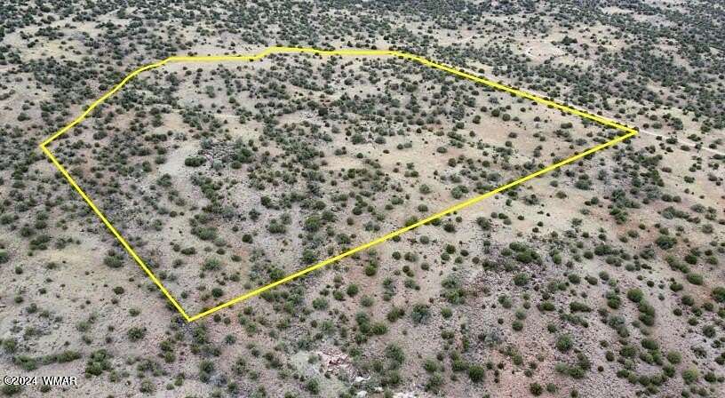 38.2 Acres of Recreational Land for Sale in Concho, Arizona