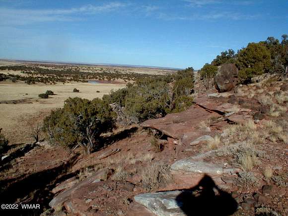 38.2 Acres of Land for Sale in Concho, Arizona