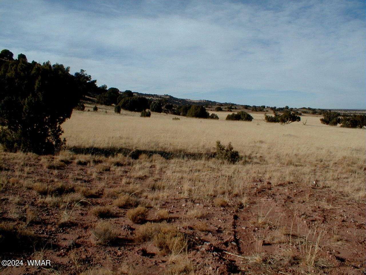 37.5 Acres of Land for Sale in Concho, Arizona