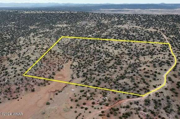 37.51 Acres of Recreational Land for Sale in Concho, Arizona