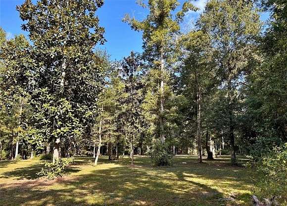 13.9 Acres of Recreational Land for Sale in Pelham, Georgia