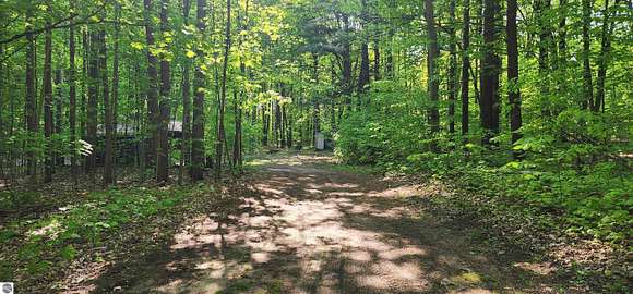 9 Acres of Residential Land for Sale in Manton, Michigan