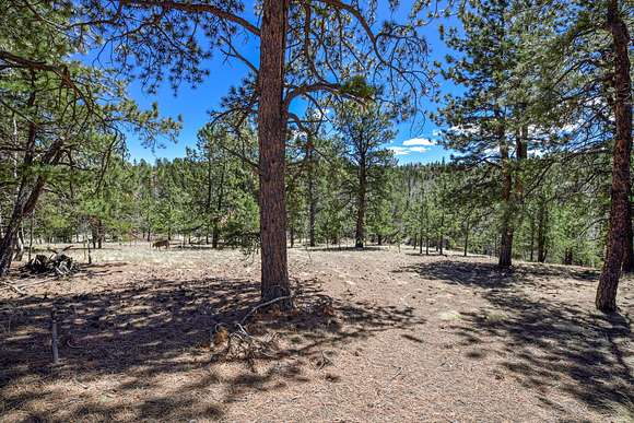 2.1 Acres of Land for Auction in Divide, Colorado