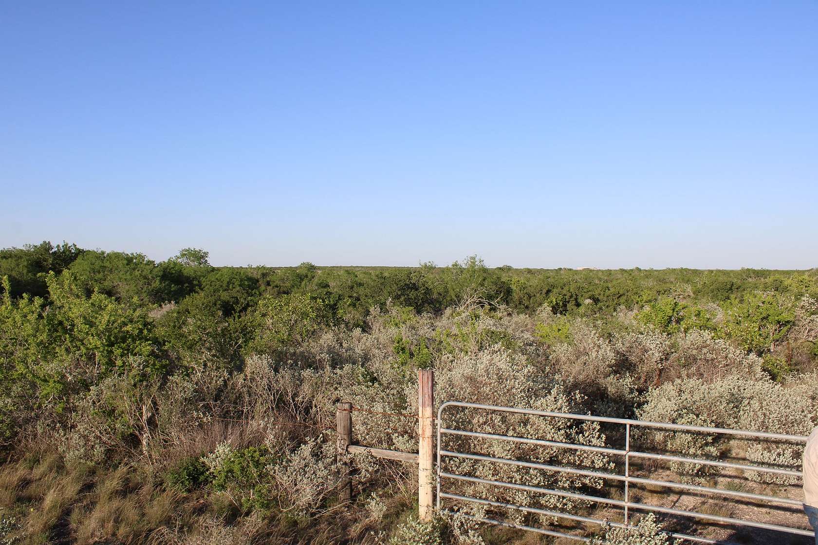 28.6 Acres of Recreational Land & Farm for Sale in San Diego, Texas