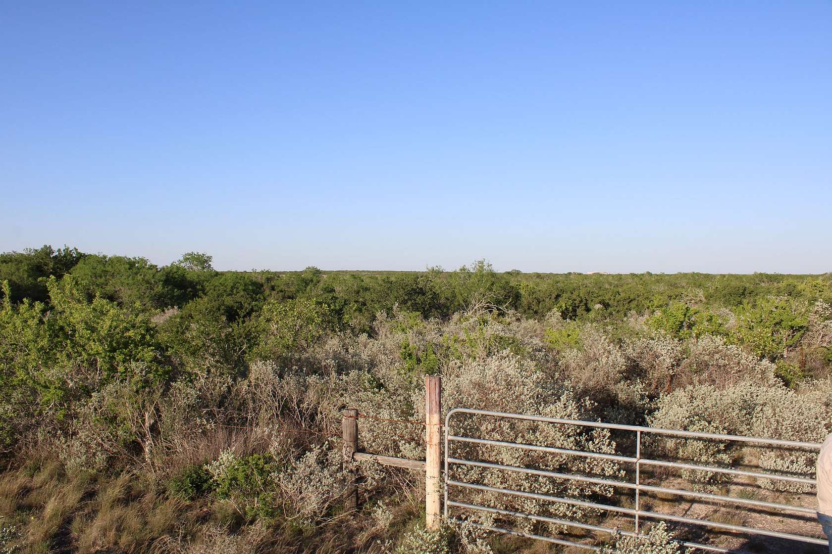 28.6 Acres of Agricultural Land for Sale in San Diego, Texas
