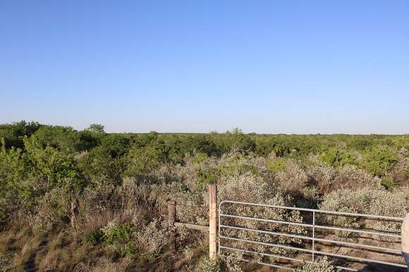 28.57 Acres of Agricultural Land for Sale in San Diego, Texas