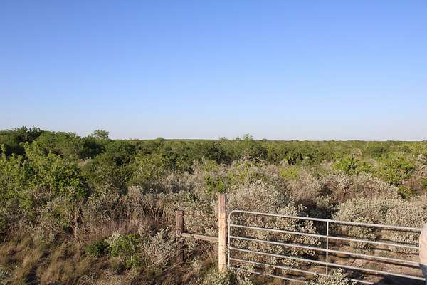 28.6 Acres of Agricultural Land for Sale in San Diego, Texas