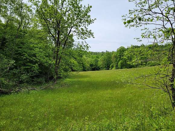 15.3 Acres of Land for Auction in Woolwine, Virginia