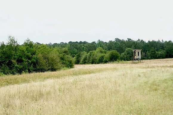 67 Acres of Land for Sale in Tylertown, Mississippi