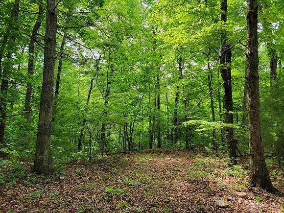 37.7 Acres of Land for Auction in Woolwine, Virginia
