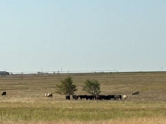 240 Acres of Agricultural Land with Home for Sale in Lubbock, Texas