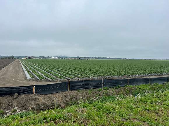 185 Acres of Agricultural Land for Sale in Watsonville, California