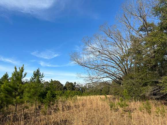 344 Acres of Recreational Land & Farm for Sale in Fort Gaines, Georgia