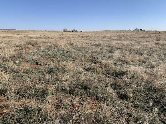52.5 Acres of Land for Sale in McIntosh, New Mexico