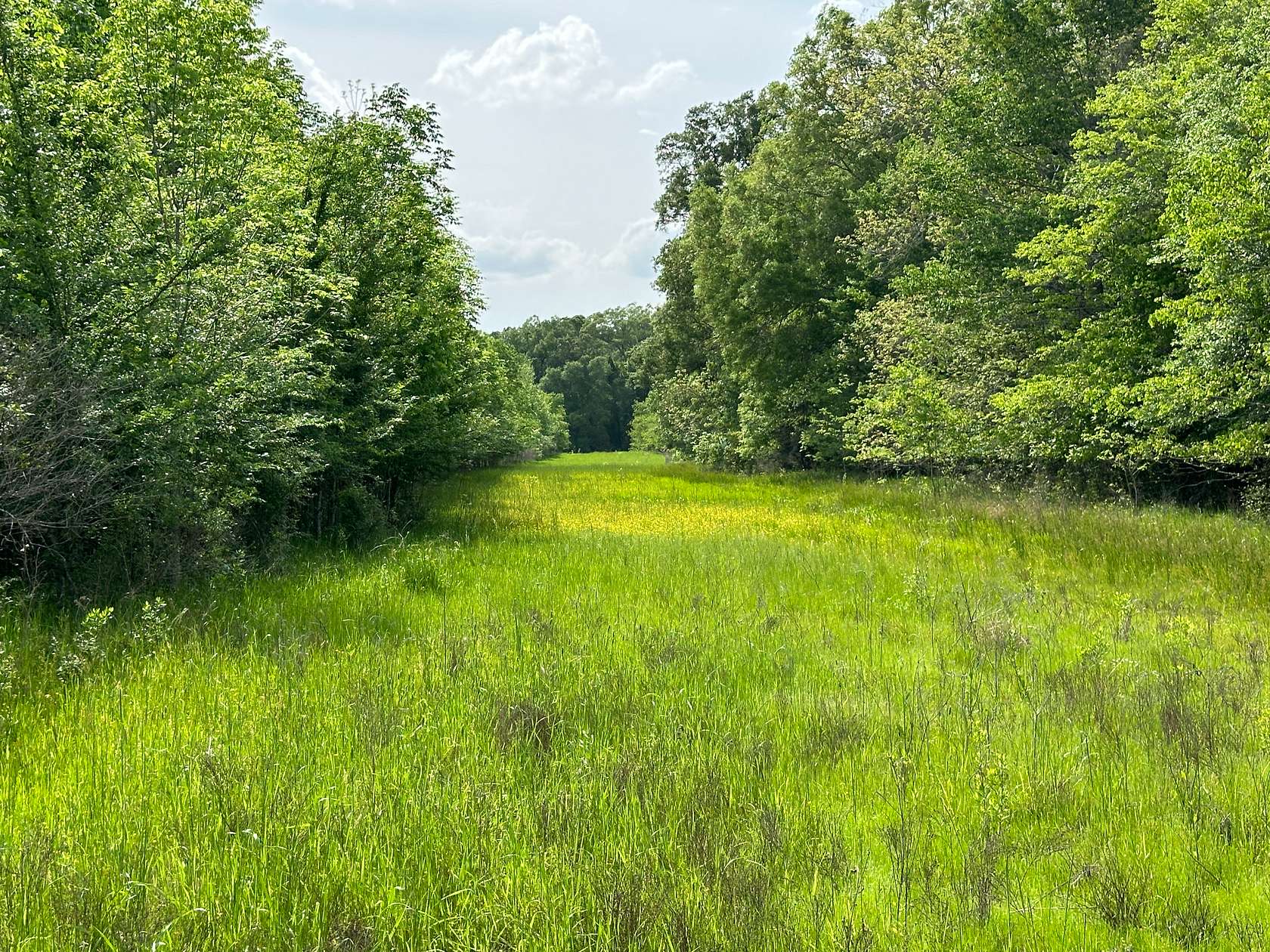 155 Acres of Recreational Land for Sale in Rayville, Louisiana