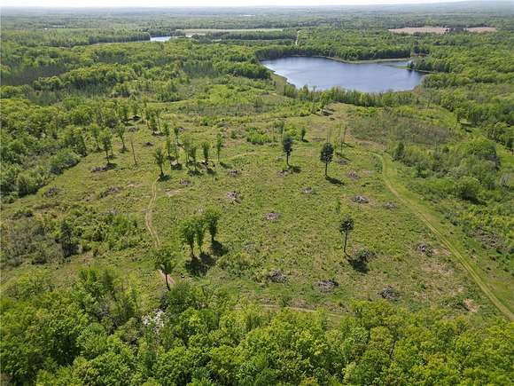 157 Acres of Agricultural Land for Sale in Bruce, Wisconsin